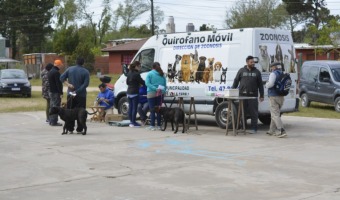 Zoonosis fortalecida en su accionar en los barrios